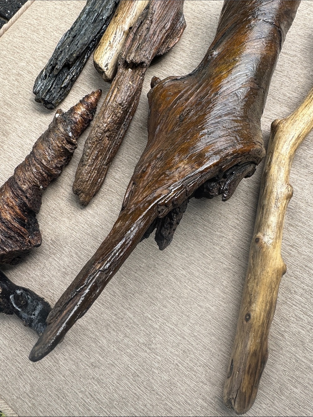 Pacific Northwest Natural Driftwood Coastal Collection Shellacked 7 pcs - Picture 7 of 8